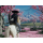 PlayStation Ghost of Yotei - 1339475 - zdjęcie 5